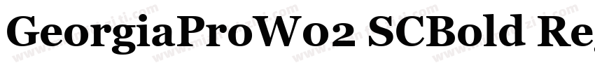 GeorgiaProW02 SCBold Regular字体转换